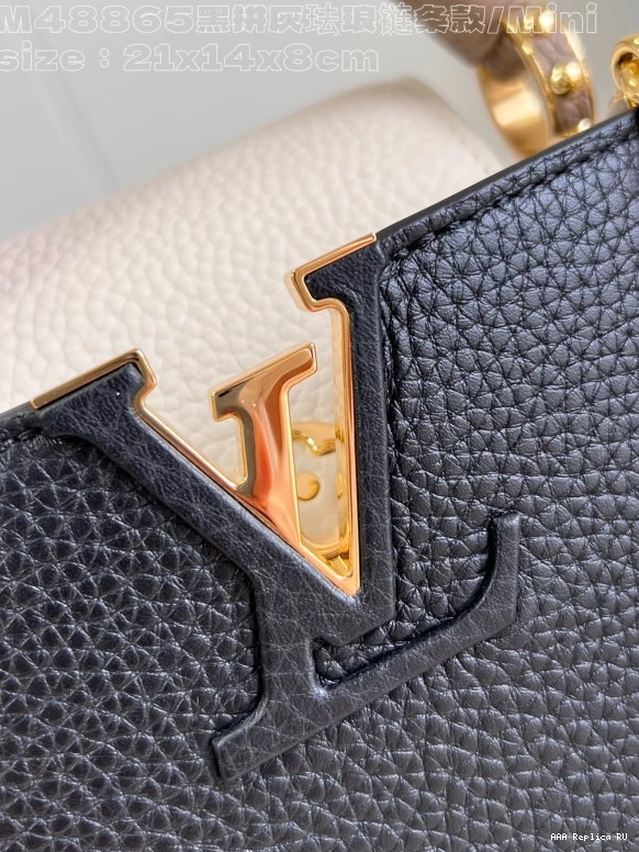 Aaa replica bags MINI-21*14*8CM VUITTON LOUIS CAPUCINES 0810